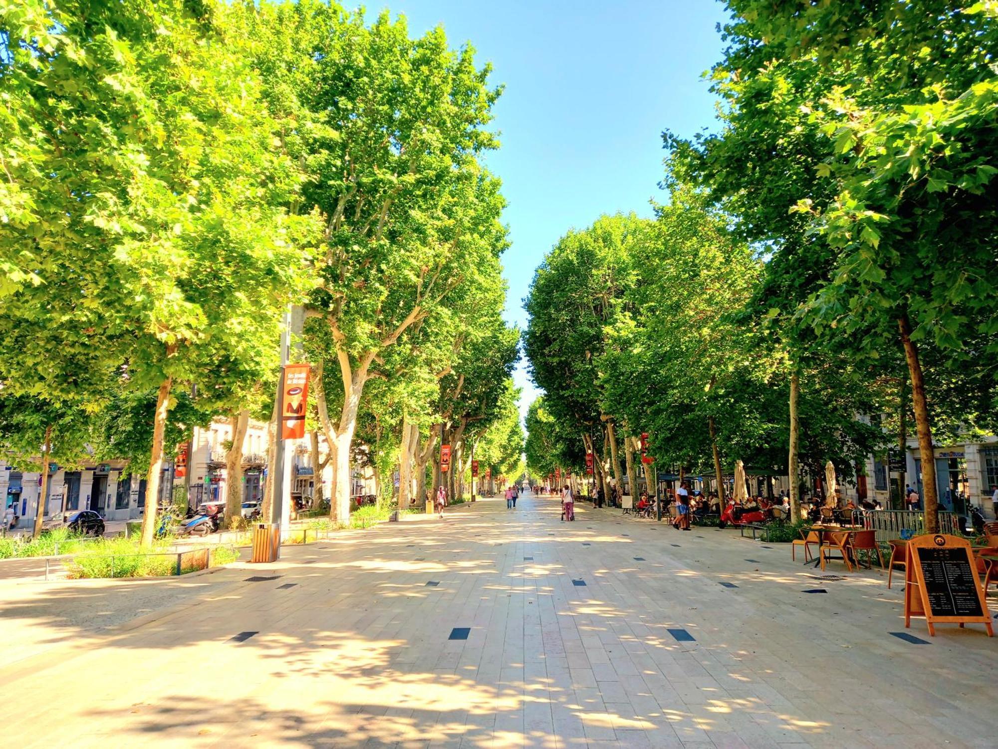 Apartment T3 Aqui Es Besiers - Centre-historique - Cathedrale & Halles - Clim - Wifi - Free Parking Sur Demande *